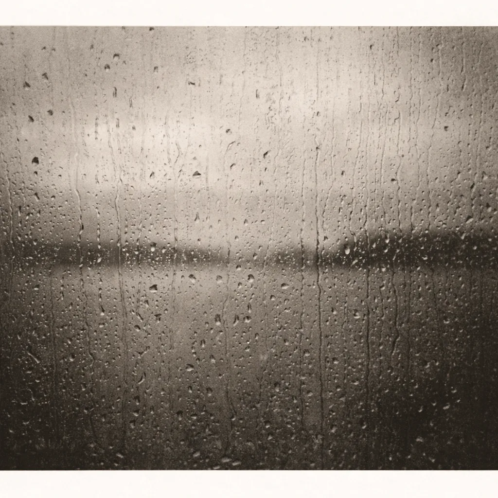 Rain on Glass, Puget Sound